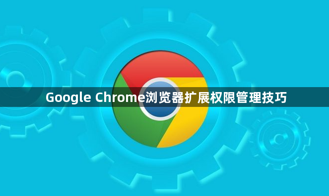 Google Chrome浏览器扩展权限管理技巧1