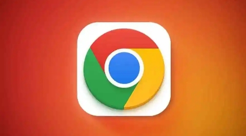 Chrome浏览器插件是否支持表单字段识别与提醒