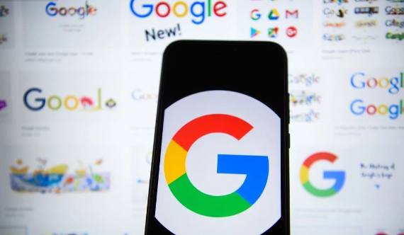 Google浏览器插件是否适合网页内容注释