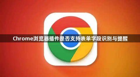 Chrome浏览器插件是否支持表单字段识别与提醒1