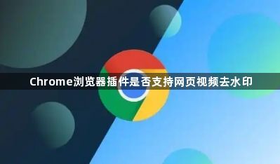 Chrome浏览器插件是否支持网页视频去水印1