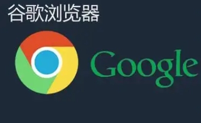 谷歌浏览器是否能运行安卓原生插件