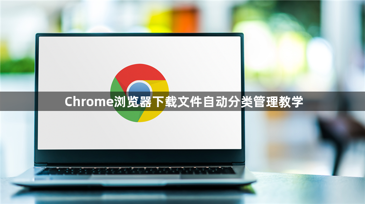 Chrome浏览器下载文件自动分类管理教学1