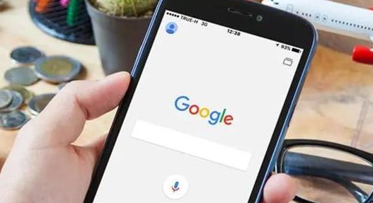 Chrome浏览器网页自动填充能否禁用某字段