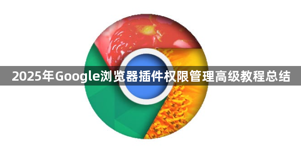 2025年Google浏览器插件权限管理高级教程总结1