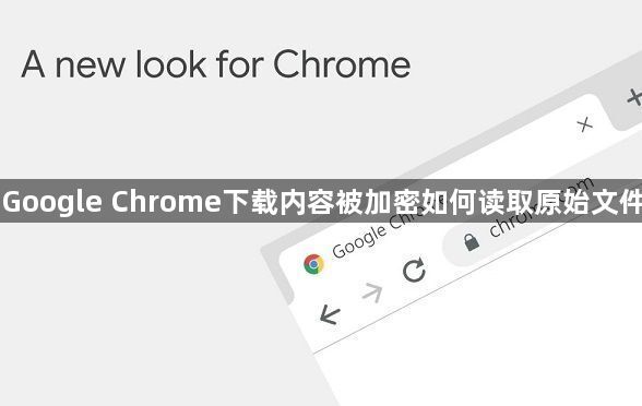 Google Chrome下载内容被加密如何读取原始文件1