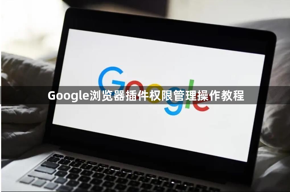 Google浏览器插件权限管理操作教程1