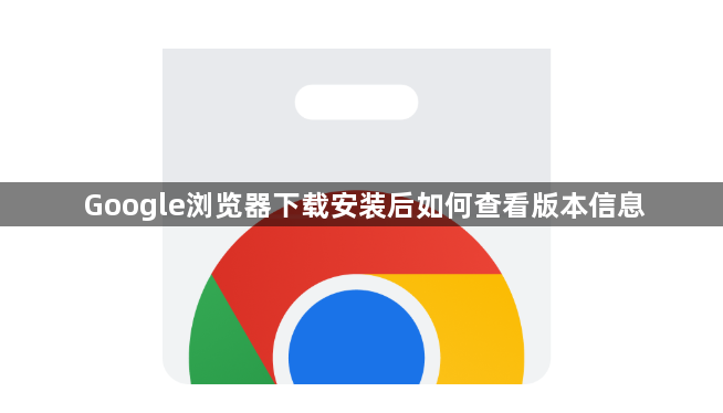 Google浏览器下载安装后如何查看版本信息1