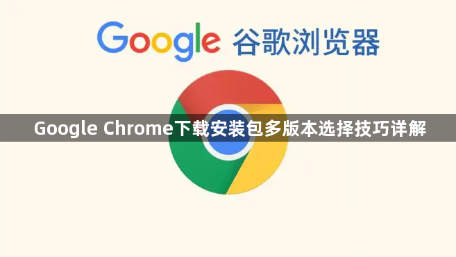 Google Chrome下载安装包多版本选择技巧详解1